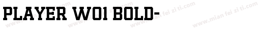 player w01 bold字体转换